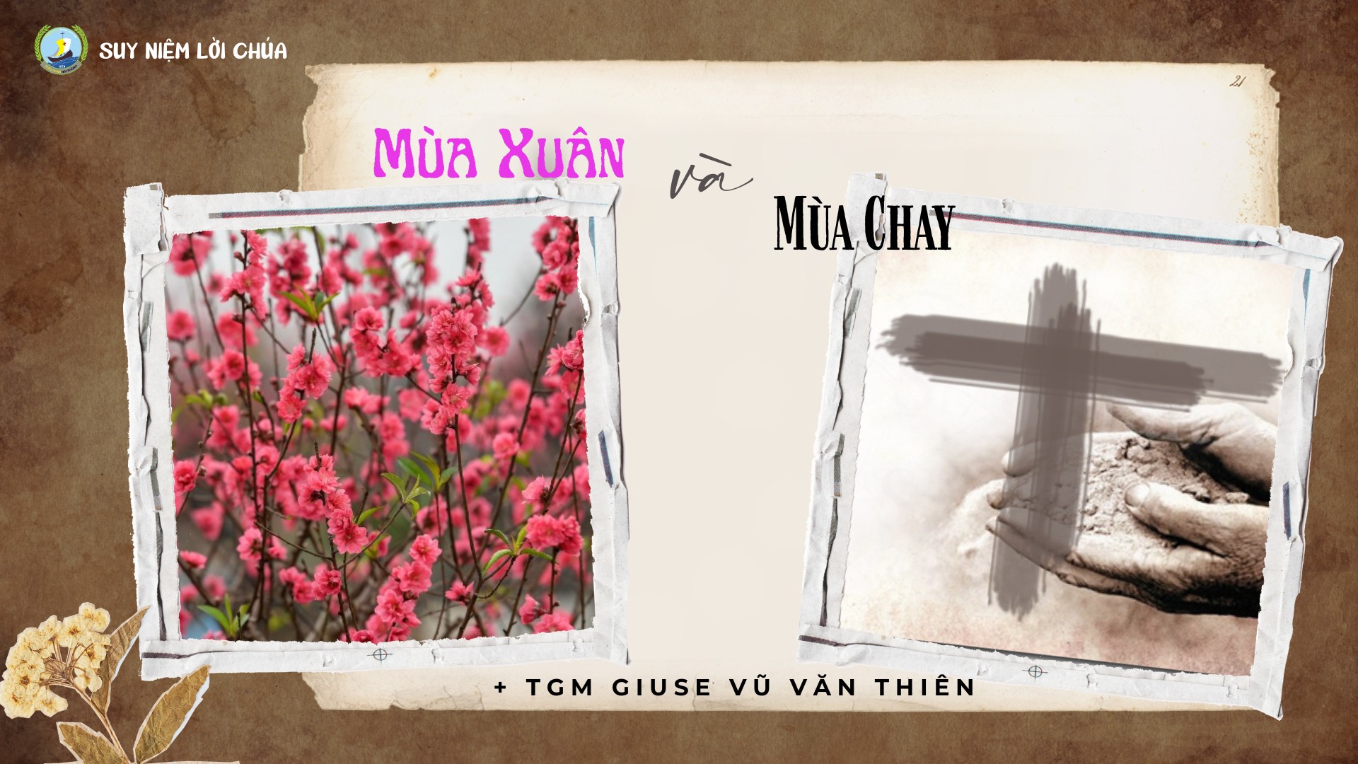 Suy niệm Lời Chúa | Mùa xuân và mùa chay | TGM Giuse Vũ Văn Thiên